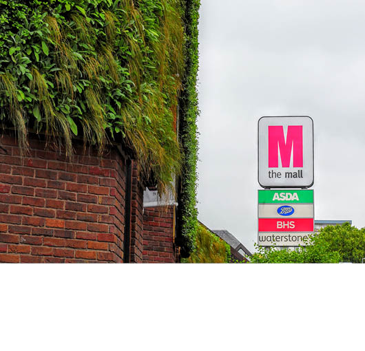 The Mall Goes Green with Living Wall