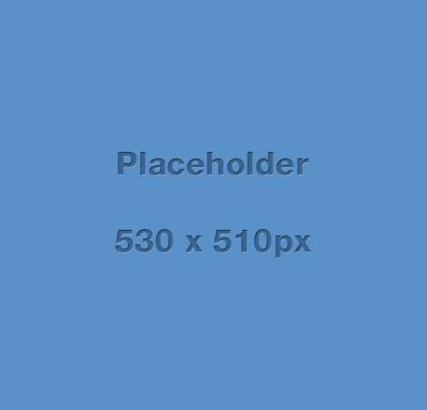 Placeholder _530x 510