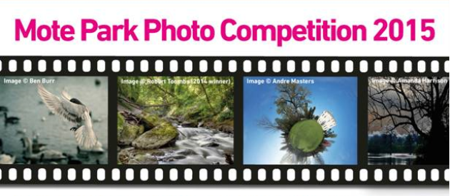 Photo Comp 2015