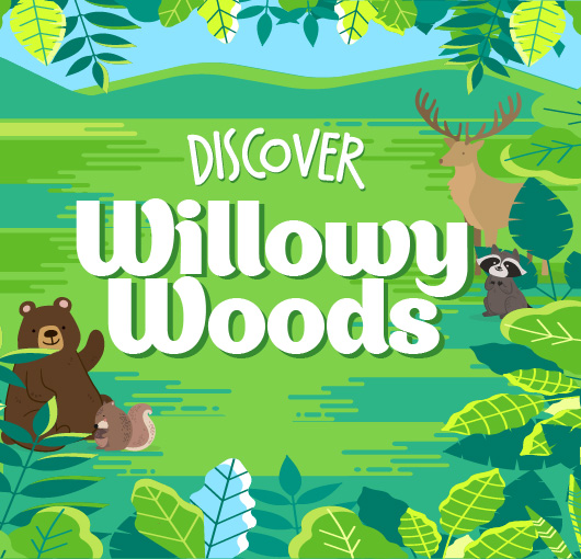 Willowy Woods