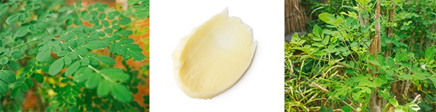 Lush Magical oringa Content.jpg
