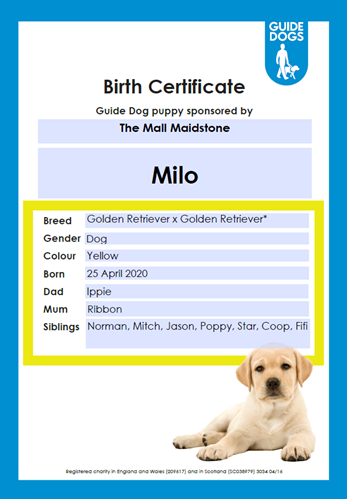 how to get dog birth certificate