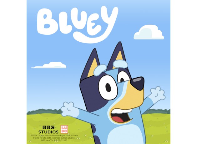 bluey content.JPG