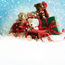 Christmas Toy Appeal 2023