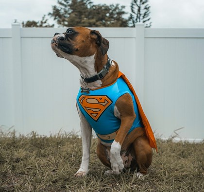National Superhero Day